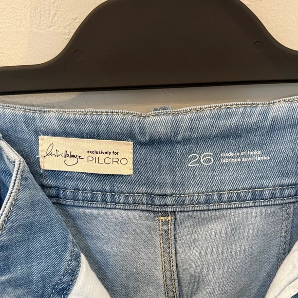 Pilcro Light Blue Flare Jeans with Dark Blue Accents - Picture 2 of 8